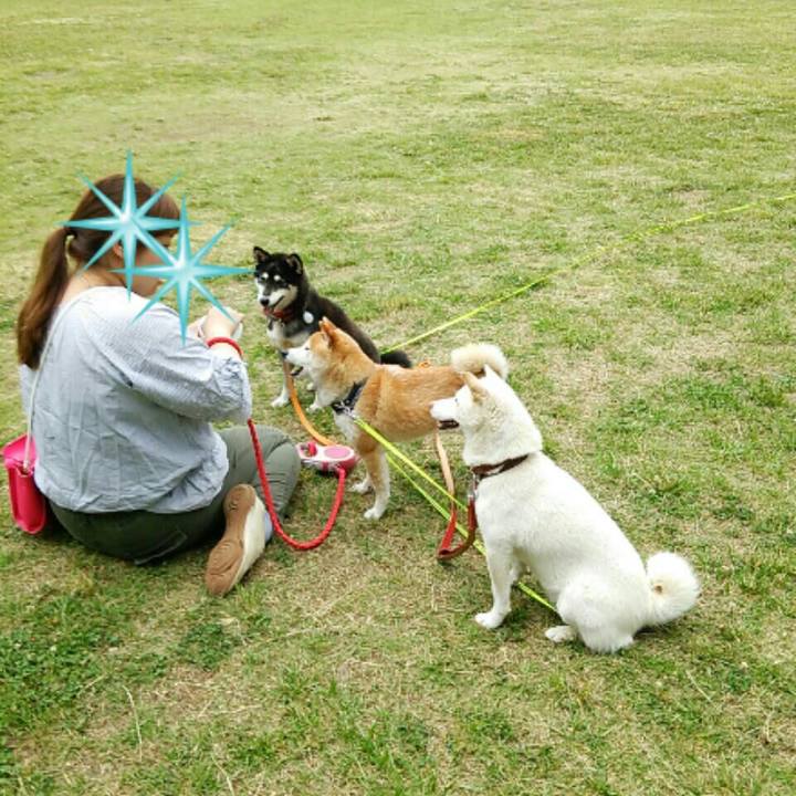 2b2a73d5 d1a1 4776 91b7 787e4e4aadb4