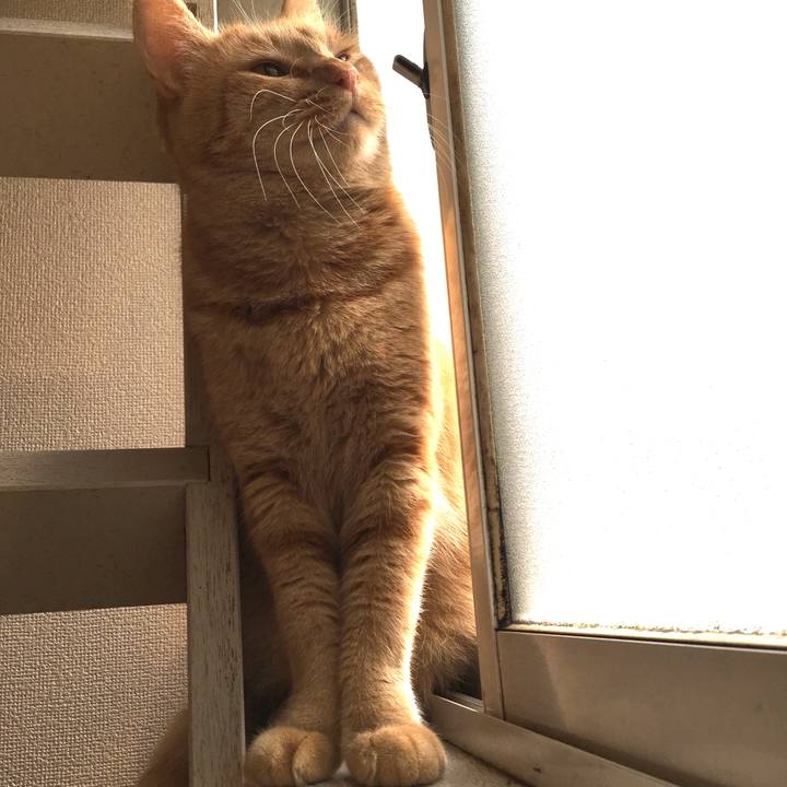 2b2b82f9 1961 4437 9256 c63b2b506624