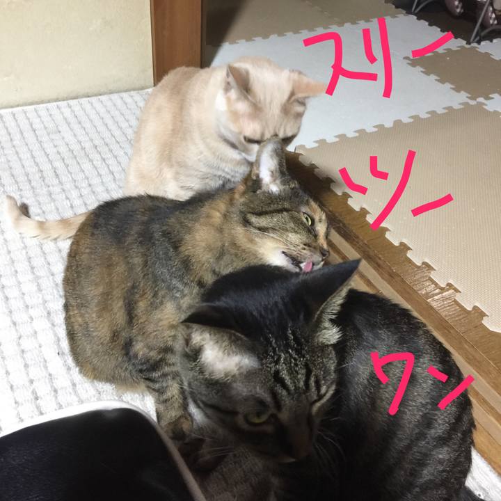 2b2bb9b6 c188 4132 8450 5babecc53848