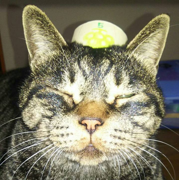 2b2cfc88 0935 4728 830c ac845d8d8c79