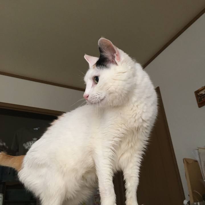 2b2d4437 1196 4bb5 8053 1407c2ab674d