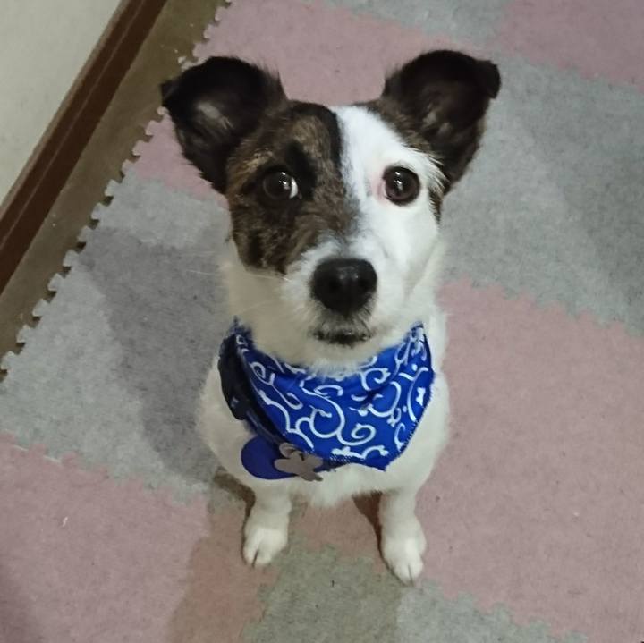 2b2d4bf0 4e22 4123 8e25 38e63faf676e