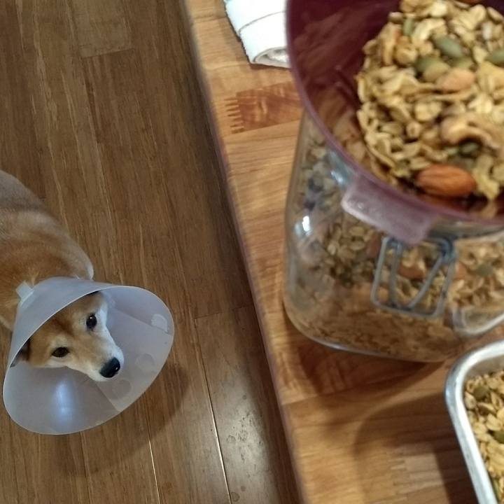 2b2d9ad6 d73e 4d08 a48f e9066912ea56