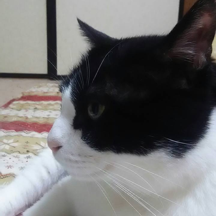 2b2e025d eea9 447b b679 8976ad38d8f5