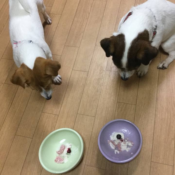 2b2e0fed b2fb 45b2 9165 b3daecd294a8