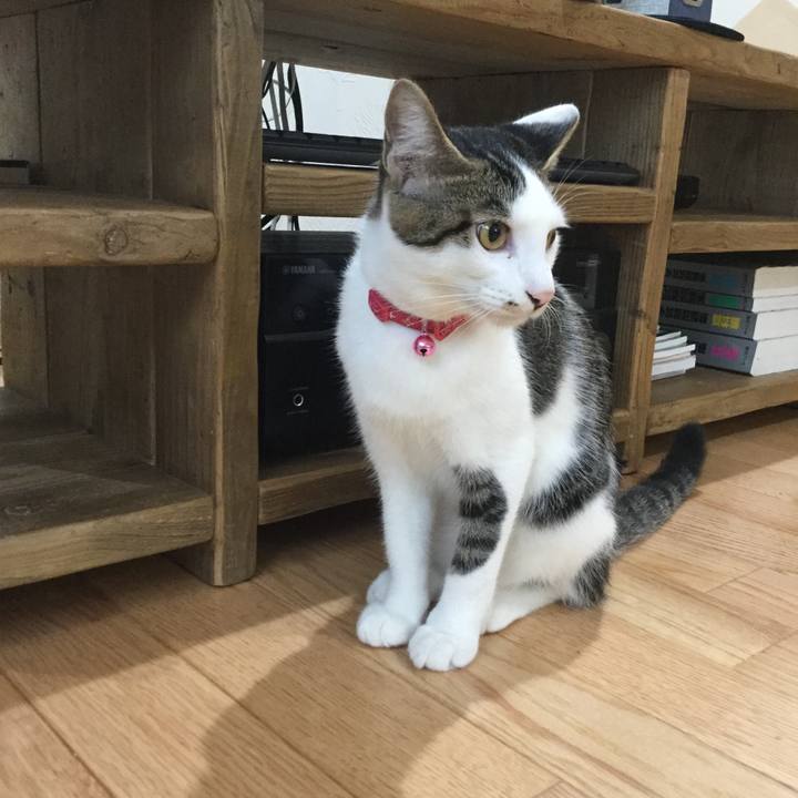 2b2e5e49 a51e 43e2 8598 9510fc4bd9aa