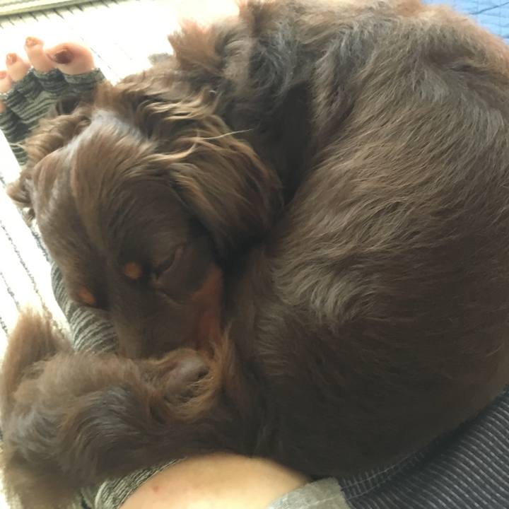 2b2e7a60 10b6 4a58 aca6 7c651b962881