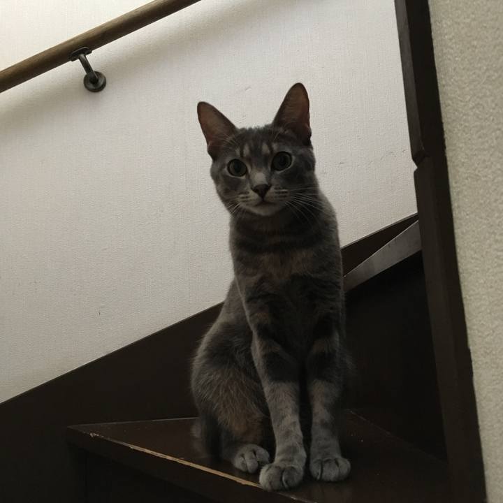 2b2ea060 7579 4dc7 96d9 ffa50e4c828f