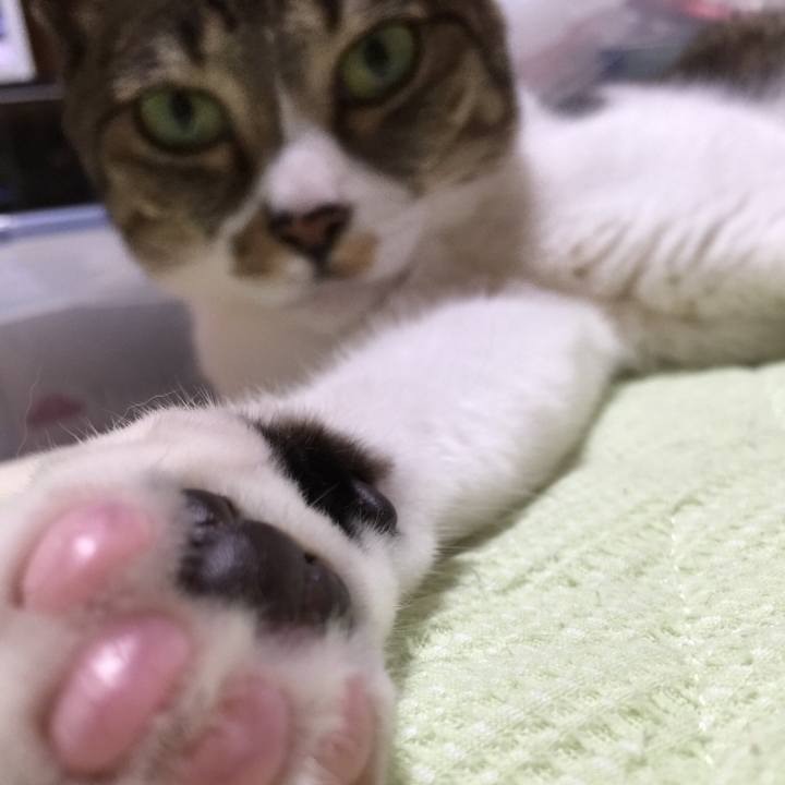 2b2f2833 7045 4855 9cd8 e0ae4669b056