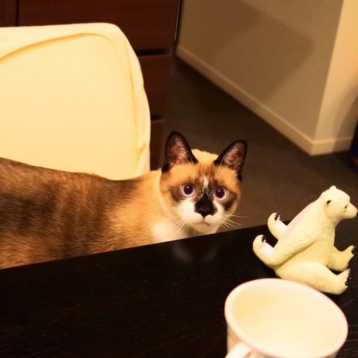 2b2f5924 940c 4f9f b3a9 451ce0ac2362