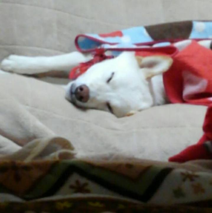 2b2f8589 abe2 4016 a4d4 6cfec7ec458d