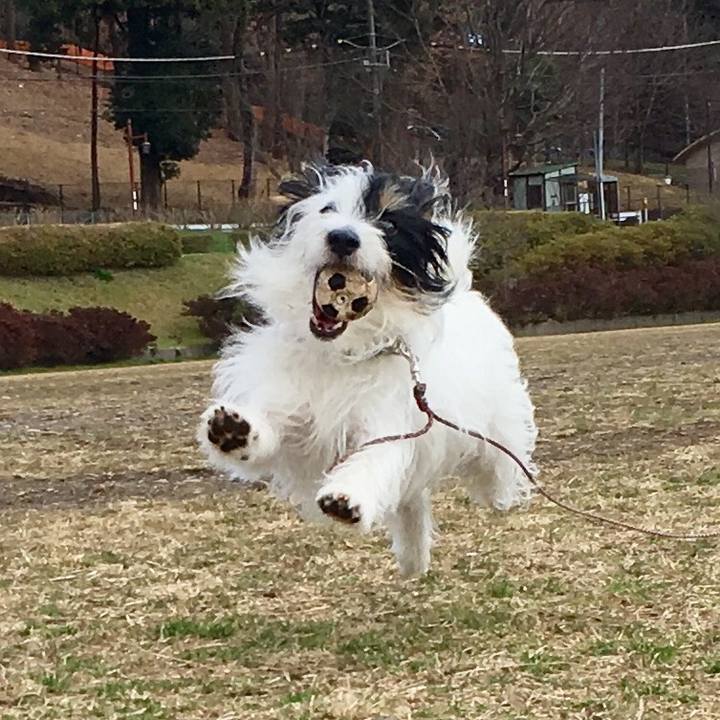 2b2f9459 6784 4d0b 9aa9 324fffc73d2f