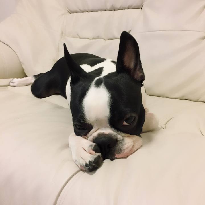 2b2f9e86 8224 4d7c b6ab d8b11fb835a3