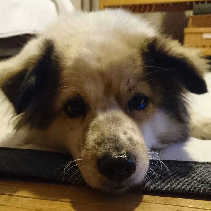 2b31374a e74a 40a9 96da b1f01402f65c