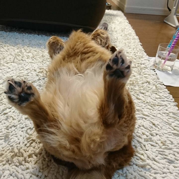 2b31848c 8c67 470b 9f00 b471ae4729f7