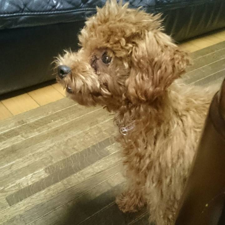 2b3349af 2867 4c29 906a 58e2b46e9da9