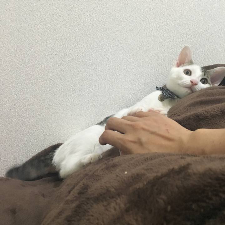 2b3357e2 8b4e 47a7 b602 902cbf30e63c