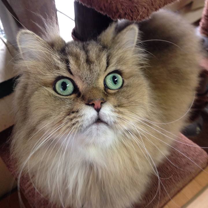 2b33ae1d f04b 4357 9587 cde3c793c6a1