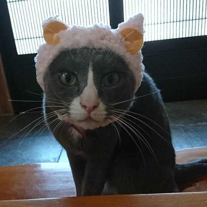 2b34e6a3 ce30 4bb7 bfb8 3f685cb20ff1