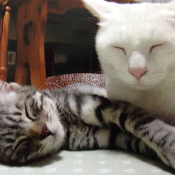 2b34f9cf df0f 467a ac7b ad57ef3220a9