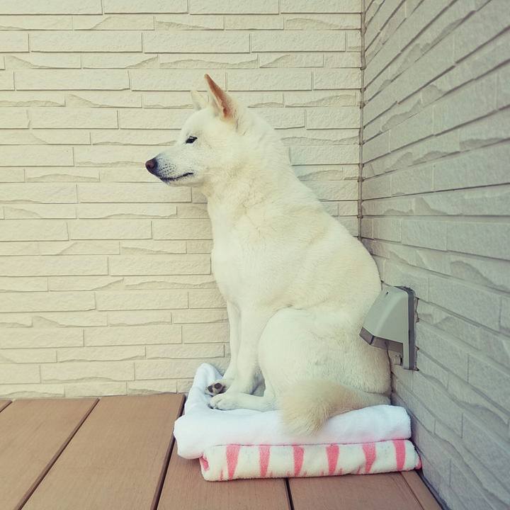 2b36c01d 60dd 4d95 b1e9 8cc3cf8b4b45