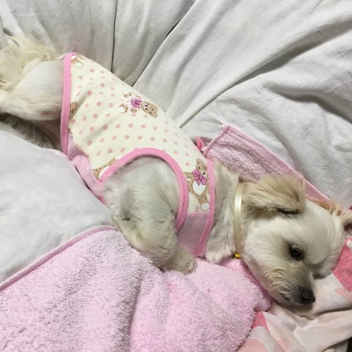 2b36d6a6 ced7 49cb 87d1 0655b36dfc89