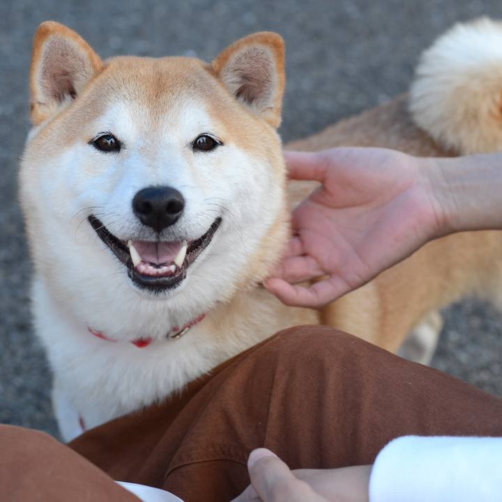 2b378984 bdc5 4ff8 a07e 165fd9c7403b