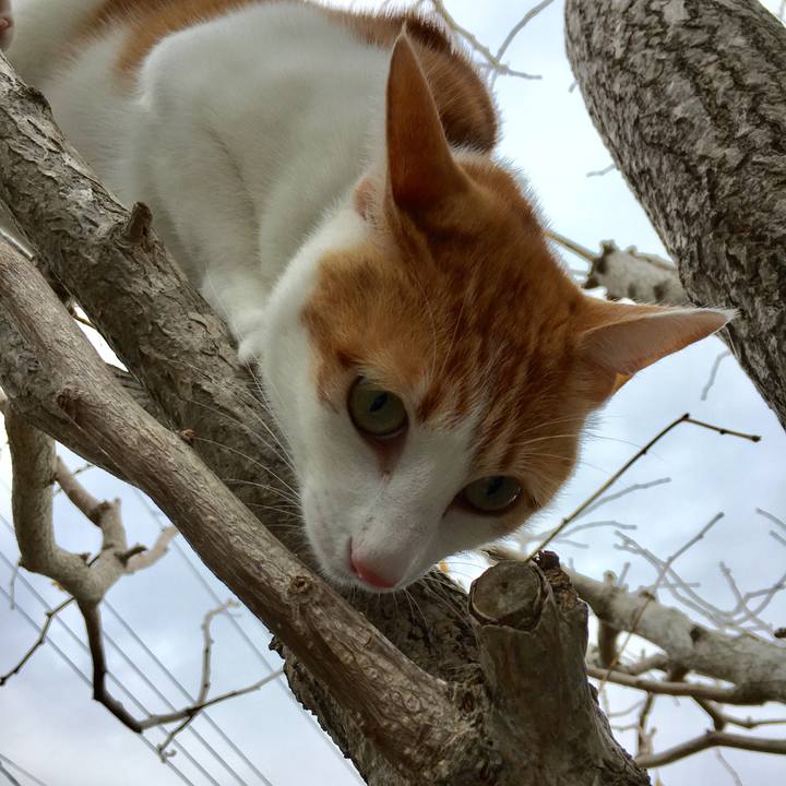 2b383489 fba8 45ac b294 387fa1cccfb8