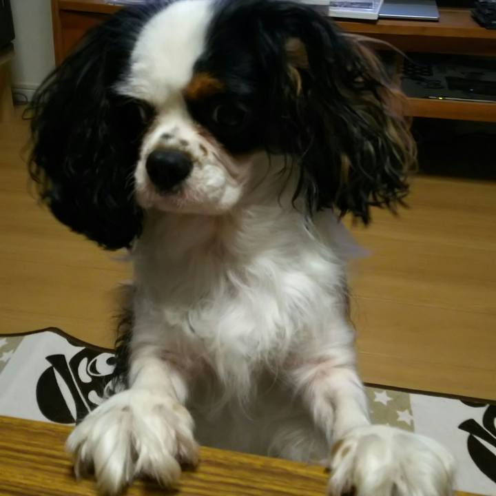 2b38520a 5197 439a 90e3 1429329ee492