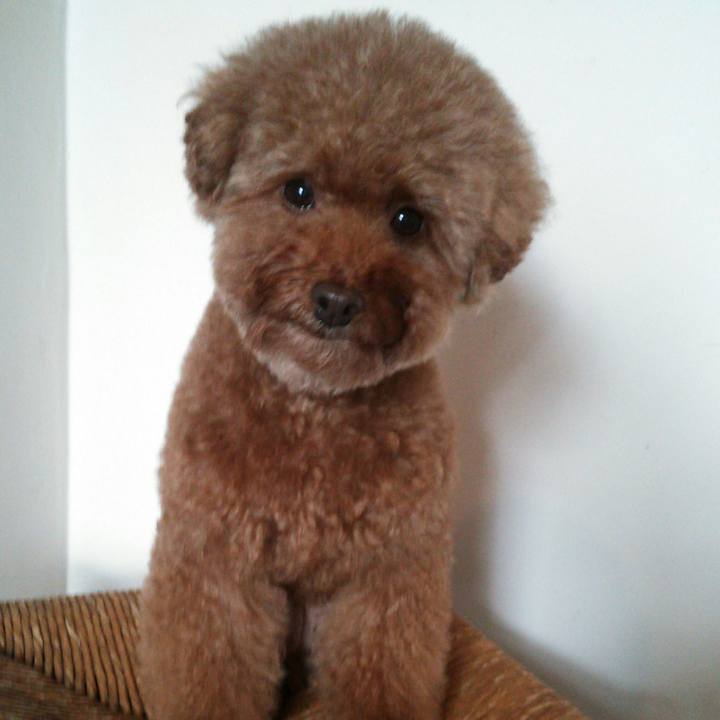 2b387a26 b913 40f9 8bee 389287891db5