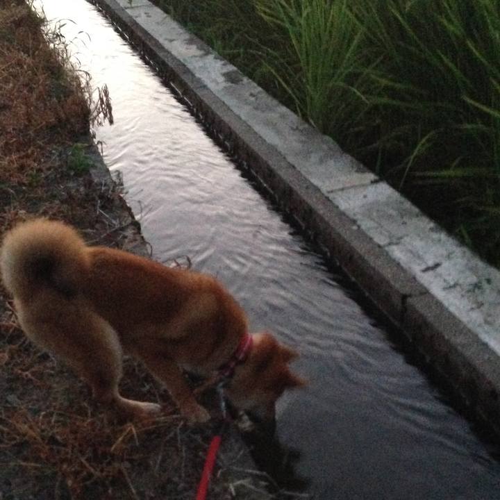 2b38e377 f69d 4f1c 927b 63297032b599