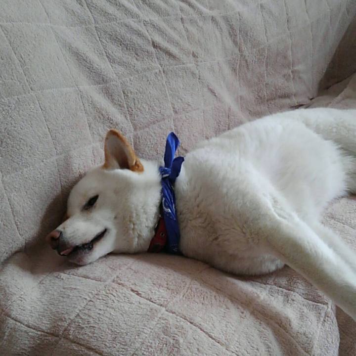 2b394372 1f44 4d27 9000 698cf04a890f