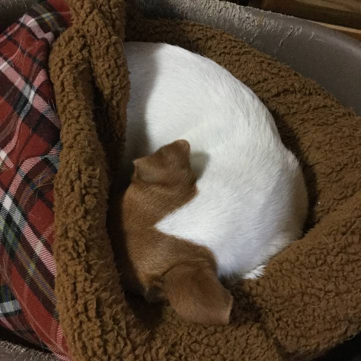 2b395235 cad6 4be8 945b 0e4b9384e528