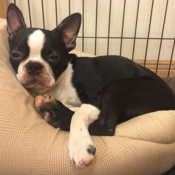 2b399890 b7d9 45d4 896e 89c96fb8e21b