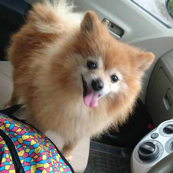 2b3a621a ae01 4e65 b877 56df225d693c