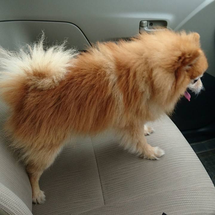 2b3b215a 3a37 4131 a229 1e77ea3c22fb