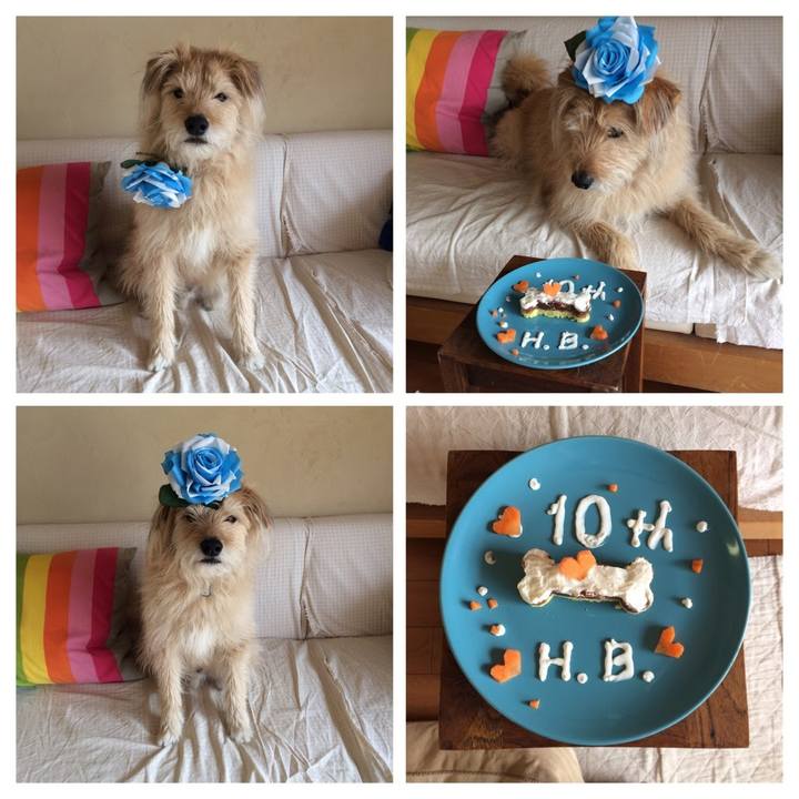 2b3bef4e dde0 4e0f 9ebc 39a156c22dc9