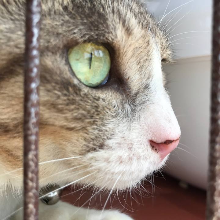 2b3c5c39 223e 4eaf 8276 d4f1abc530e0