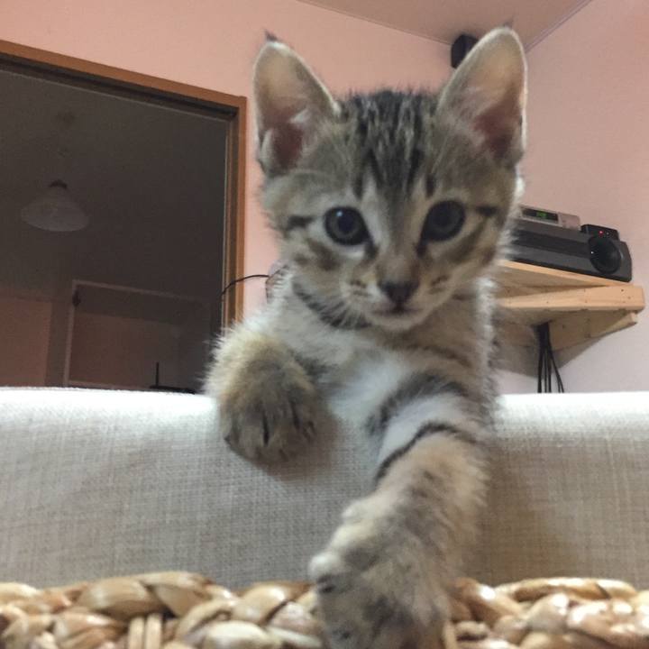 2b3c7e81 a194 4f8e 9c79 86341eee69a8