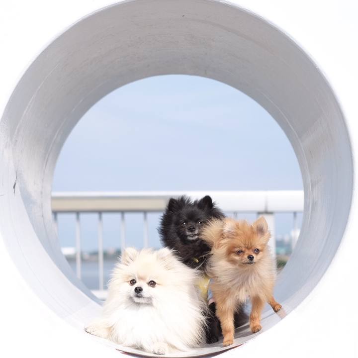 2b3cb07f 9f4a 4eee bbfa a94d77006de8