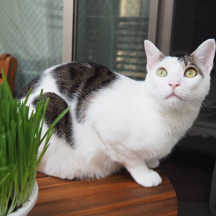 2b3cb222 881d 46e8 ba09 0ff64214e046