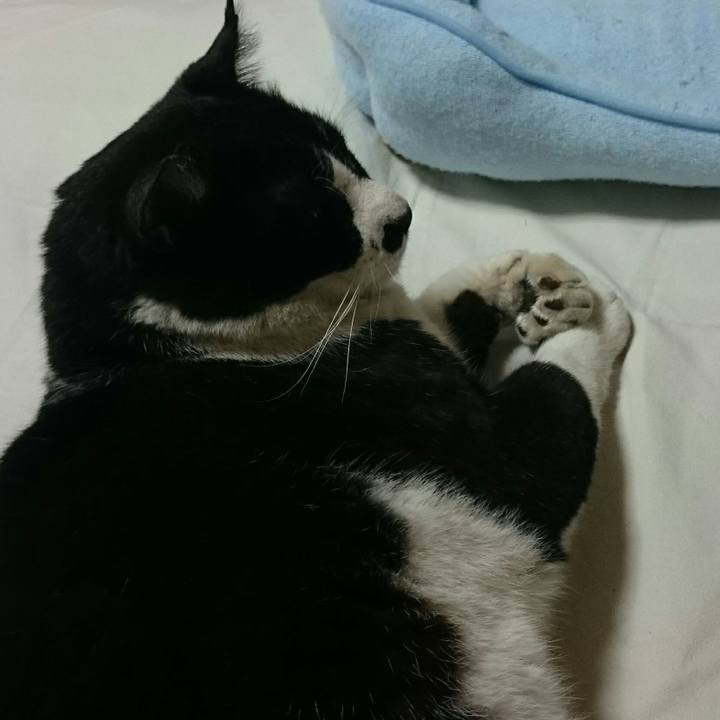 2b3cdc7f c415 4a39 b609 7ec21b66de7f