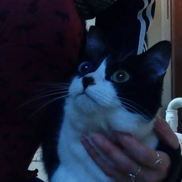 2b3d2a39 8c2e 4d59 9326 12fffcad4b10