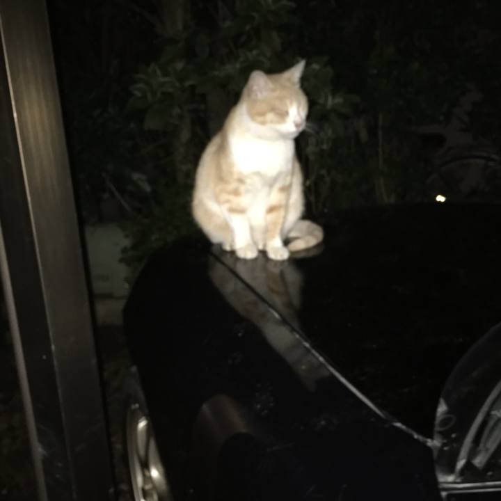 2b3d6129 3b8b 4ba6 b993 380fb0cadd42