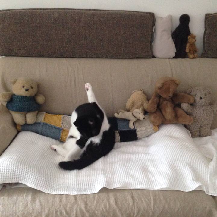 2b3e20fe ce45 4573 93e6 2311206955b5