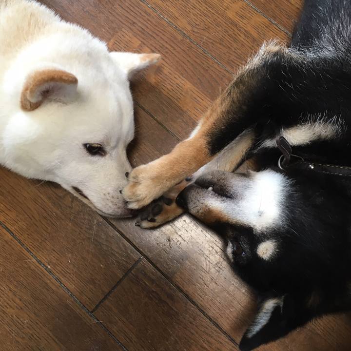 2b3ec168 1a57 4e55 930c c9ae62916d86