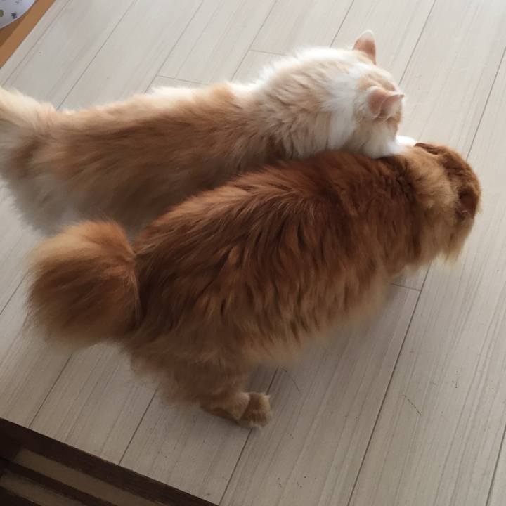 2b3f78c4 3079 4698 92a6 7da4317e1d5c