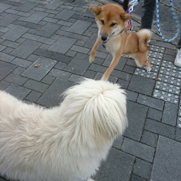 2b40365b 7ba9 4a57 857d 0883de02151c