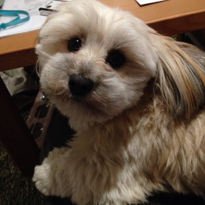 2b40e635 4fa6 4a13 bdc5 ef20c54d2d63