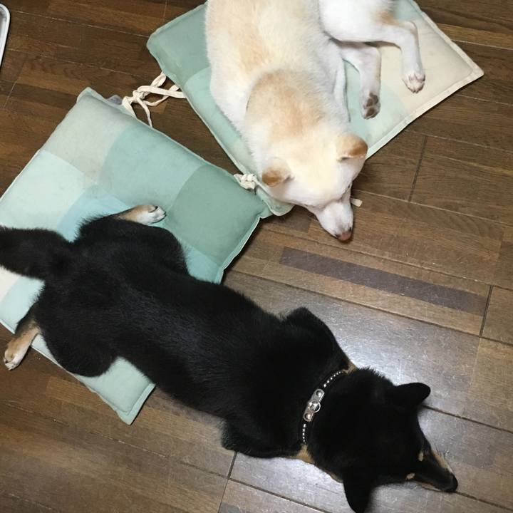 2b4111e4 3e25 4603 8232 f5f4bd2ecc0a